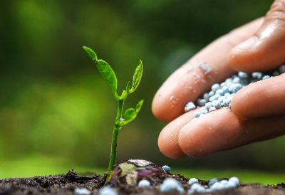 氯化鈀、醋酸鈀、DPPF二氯化鈀、DBA鈀、四三苯基膦鈀等均相催化劑的生產與銷售。